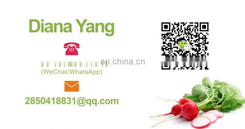 Industrial Electric High efficient Stainless Steel Sweet Corn Thresher