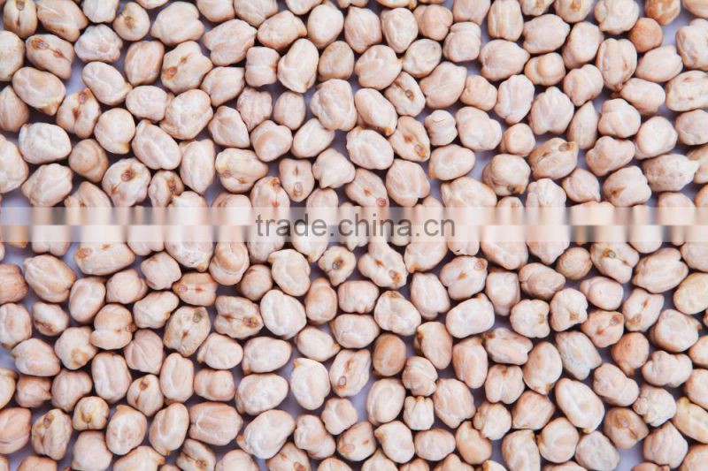 12mm chickpeas