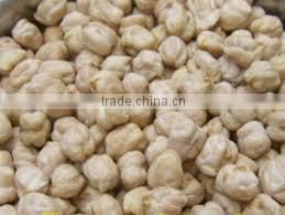 EXPORT TYPE KABULI CHICKPEAS