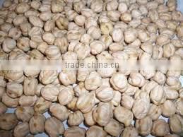 HIGH PROTEIN CHICKPEAS SUPPLIER