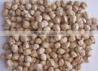 12 MM INDIAN KABULI CHICKPEAS