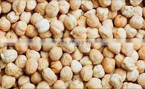 HIGH PROTEIN CHICKPEAS SUPPLIER