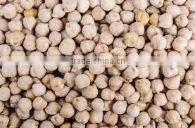 CHICKPEAS
