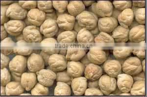 CHICK PEAS KABULI CHANA