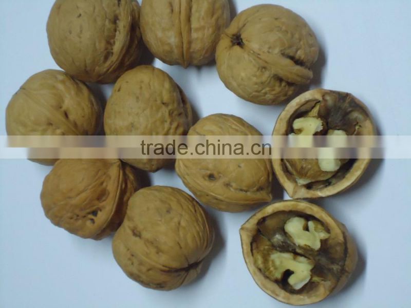 Walnut