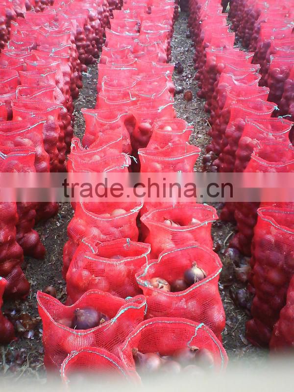 CELEBRITY EGYPTIAN CROP FRESH ONION GOOD PRICE