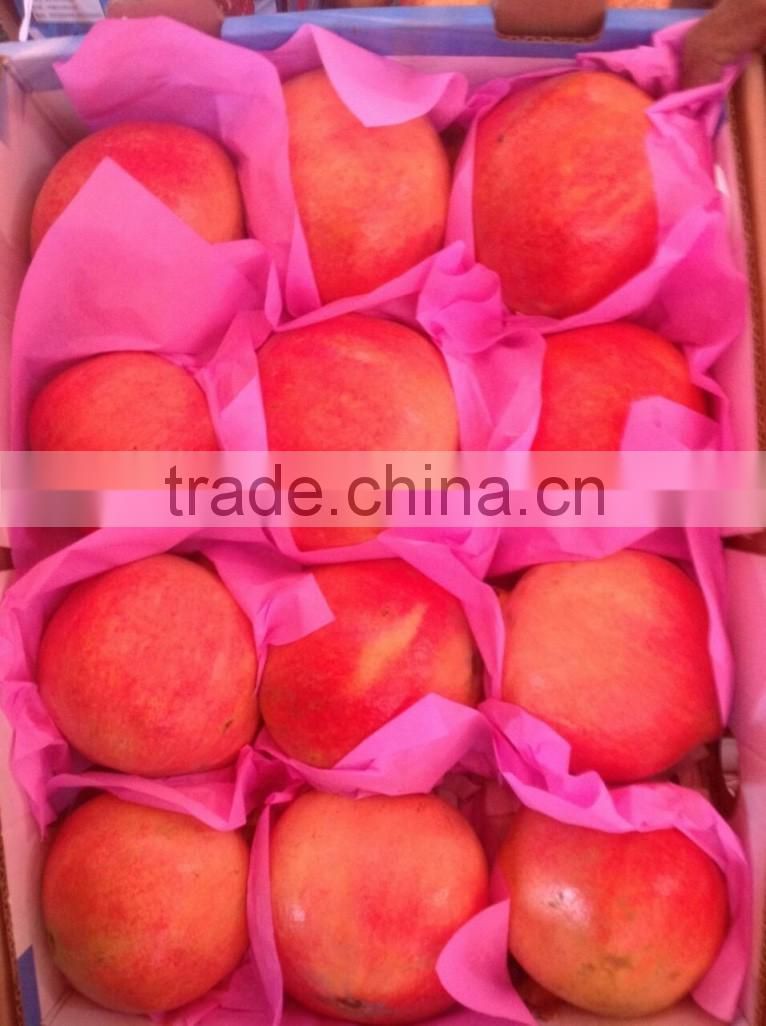 4.5 kg carton box Packing of Fresh Pomegranates from Egypt