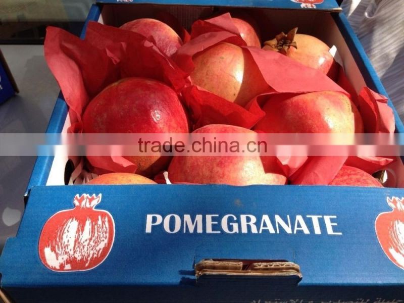 17 Ton / Container Of Fresh Pomegranates