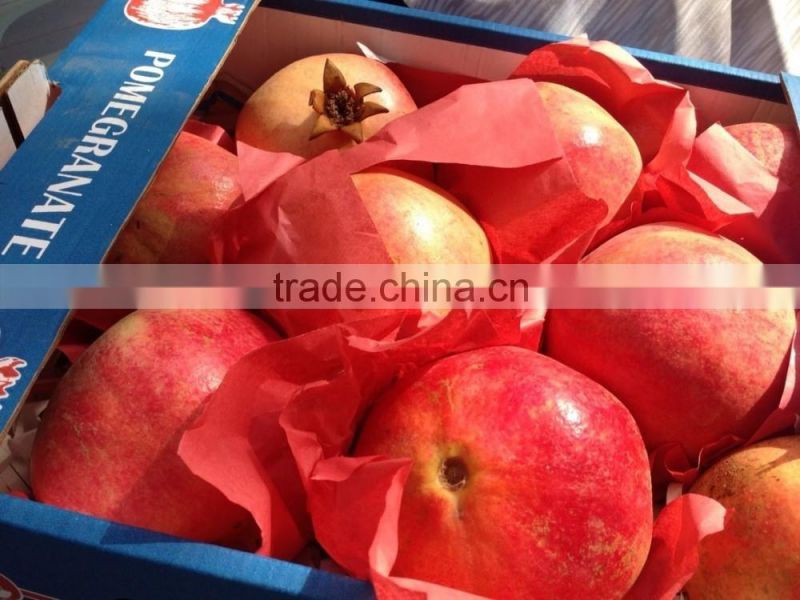 Certification ISO 9001 from Egypt Of Pomegranates