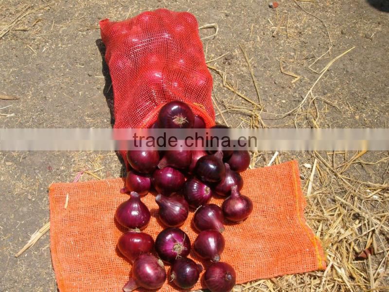 CELEBRITY EGYPTIAN CROP FRESH ONION GOOD PRICE