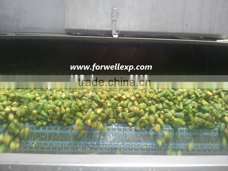 FROZEN MIX VEGETABLES ( BEANS - CARROTS - OKRA - PEAS - POTATO ....)