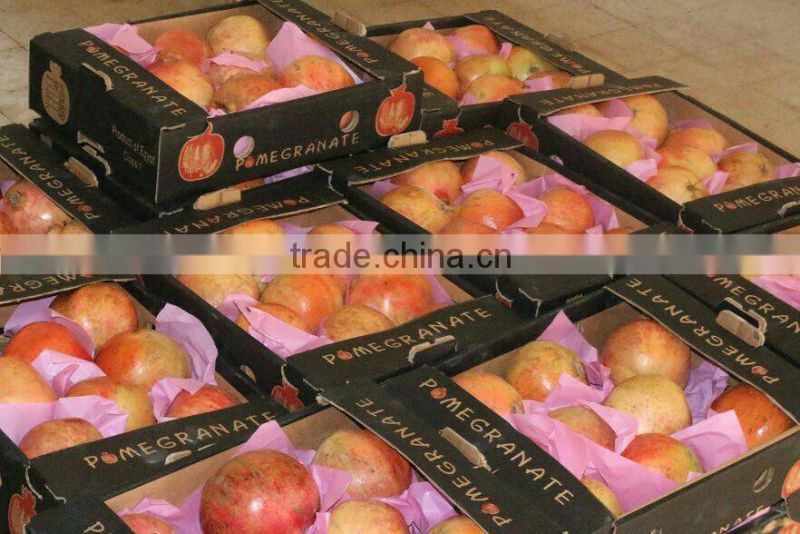 Top Pomegranate & Fresh & Delicious & Dark Red Pomegranate