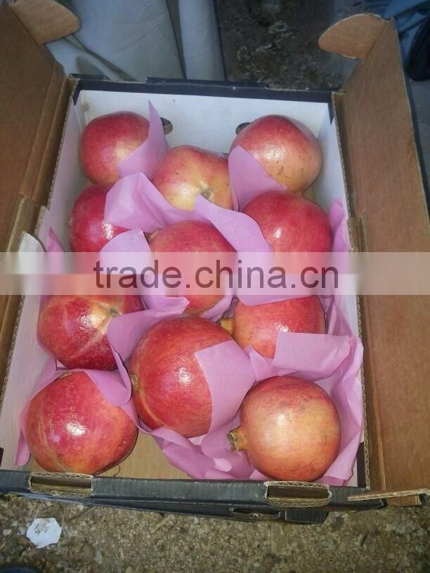 4.5 kg carton box Packing of Fresh Pomegranates from Egypt