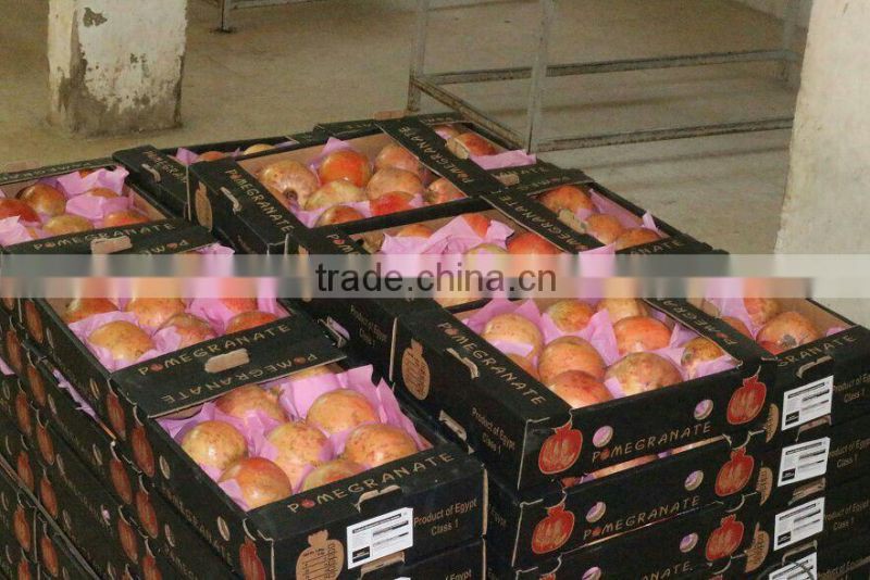 Top Pomegranate & Fresh & Delicious & Dark Red Pomegranate