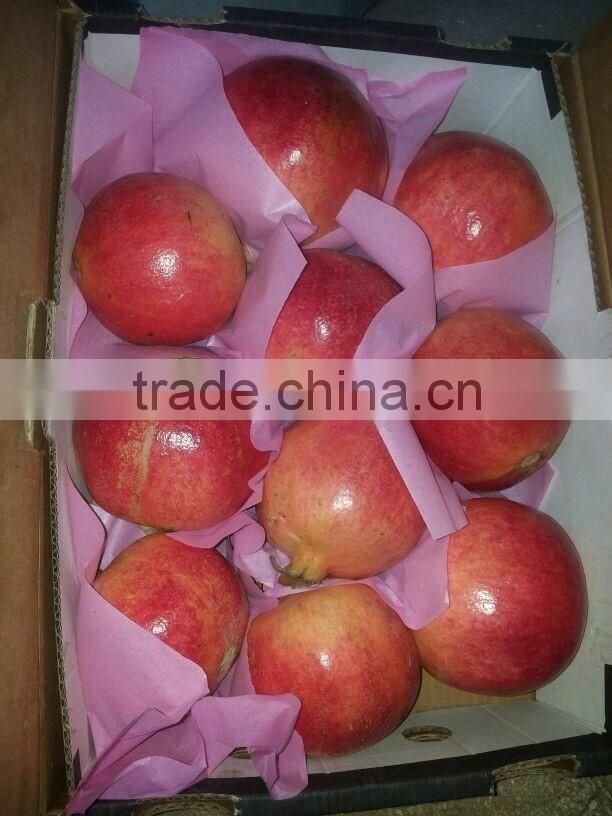 4.5 kg carton box Packing of Fresh Pomegranates from Egypt