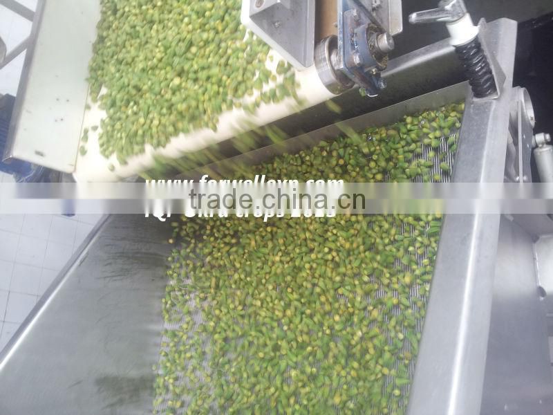 FROZEN MIX VEGETABLES ( BEANS - CARROTS - OKRA - PEAS - POTATO ....)