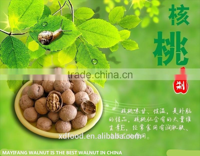 2014 new style OrganicThin skin Walnuts in Shell,Grade One Thin Skin Walnuts