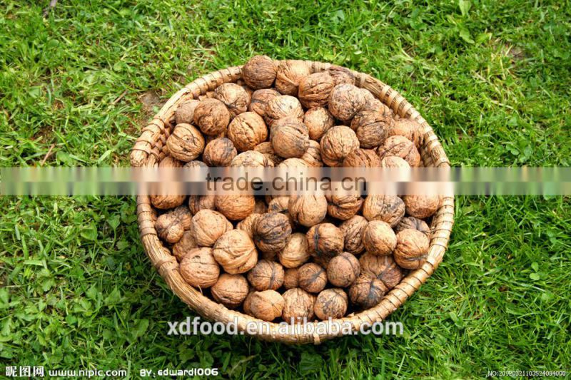 big and full Walnuts kernel ,Light Halves Walnut kernel ,raw organic walnut Kernel 85%