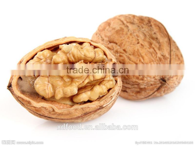 big and full Walnuts kernel ,Light Halves Walnut kernel ,raw organic walnut Kernel 85%