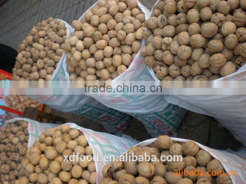 2014 new style OrganicThin skin Walnuts in Shell,Grade One Thin Skin Walnuts