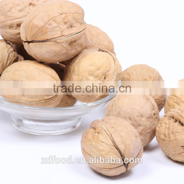 Walnut in shell ,Thin Skin Walnuts whole With Shell price
