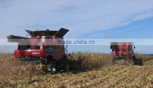 RI design Agricultural tire 12.4-28