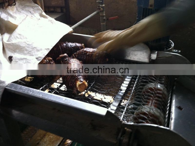 FRESH TARO GOOD QUALITY COMPETITIVE PRICE FROM CHINA