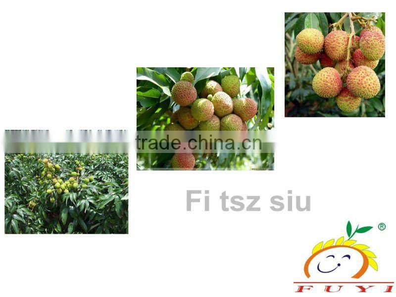 Global G.A.P Certificate CHINESE LITCHI(Fei tsu hsiao)