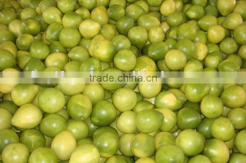 Sweet Honey pomelo