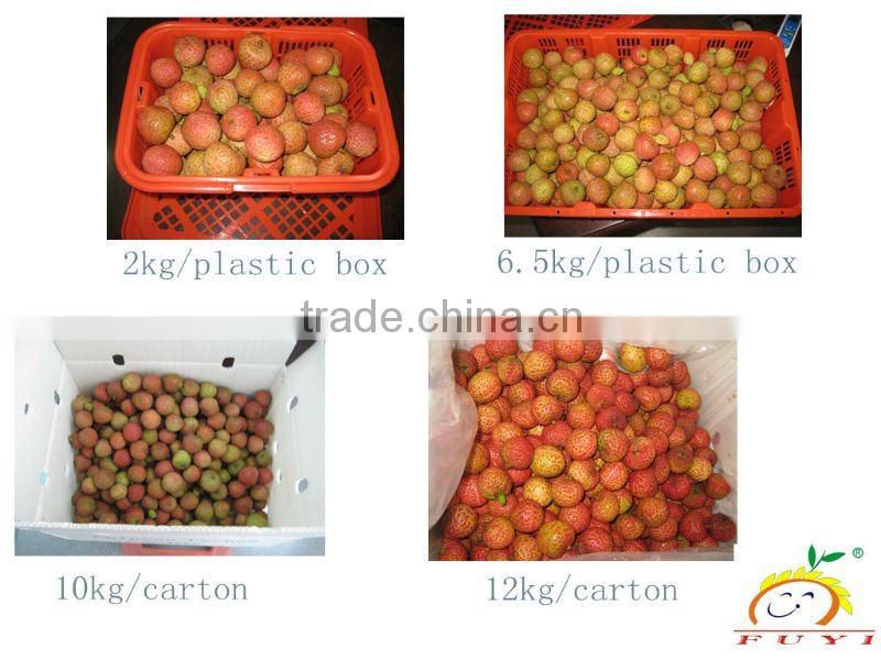 Global G.A.P Certificate CHINESE LITCHI(Fei tsu hsiao)