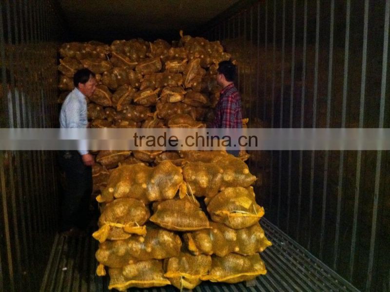 FRESH TARO GOOD QUALITY COMPETITIVE PRICE FROM CHINA