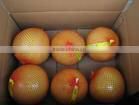 Fresh Fleshy Pomelo
