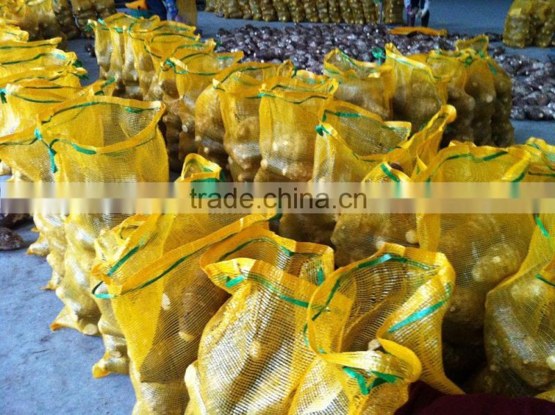 FRESH TARO GOOD QUALITY COMPETITIVE PRICE FROM CHINA