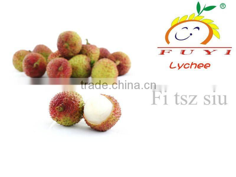 Global G.A.P Certificate CHINESE LITCHI(Fei tsu hsiao)