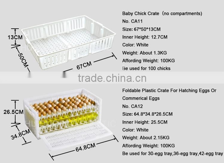 Chicken farm equipment plastic transport crate for Baby chick