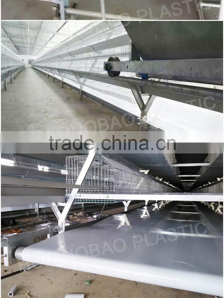 Chicken farm supplies PP PE poultry manure belts