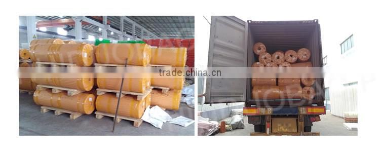 Chicken farm supplies PP PE poultry manure belts