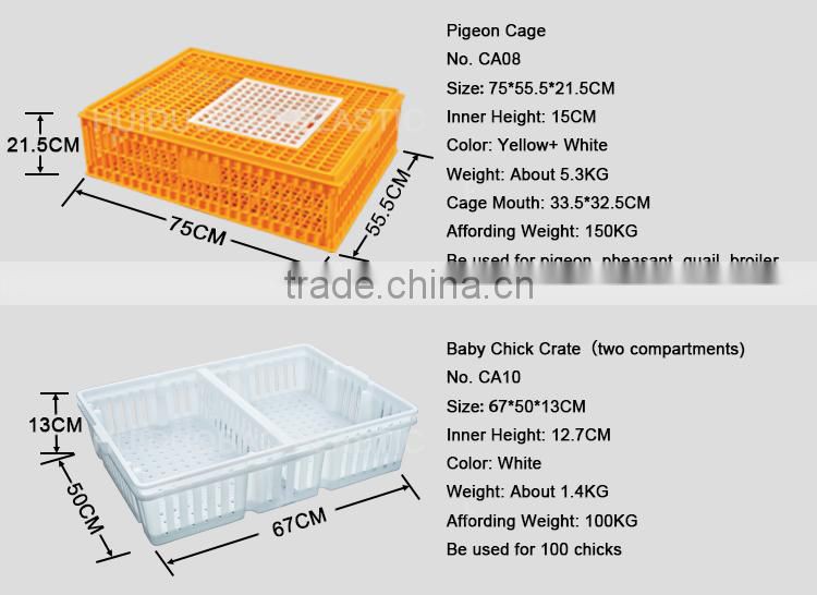 Chicken farm equipment plastic transport crate for Baby chick
