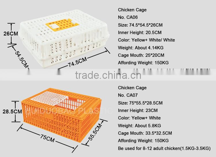Chicken farm equipment plastic transport crate for Baby chick
