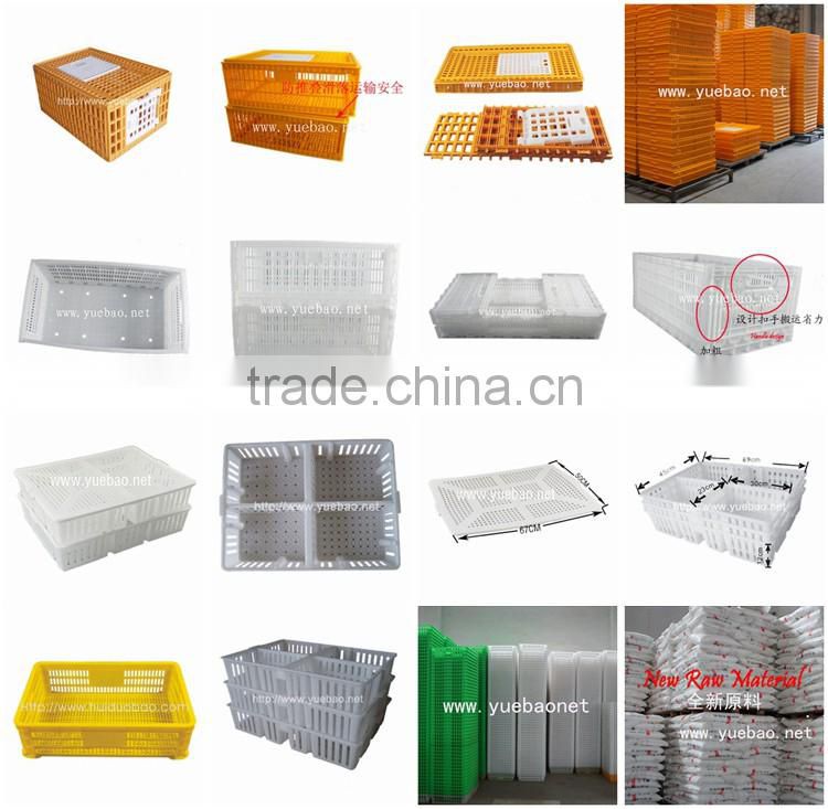 Chicken farm equipment plastic transport crate for Baby chick