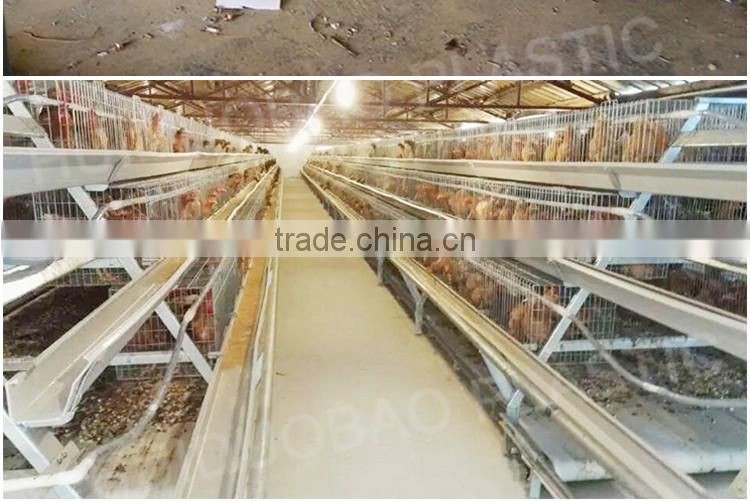 Chicken farm supplies PP PE poultry manure belts
