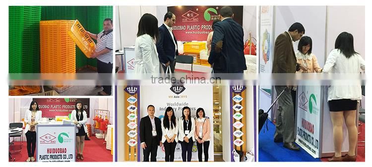 Automatic poultry farming drinking system for chickens