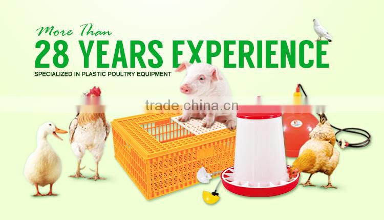 Automatic poultry farming drinking system for chickens