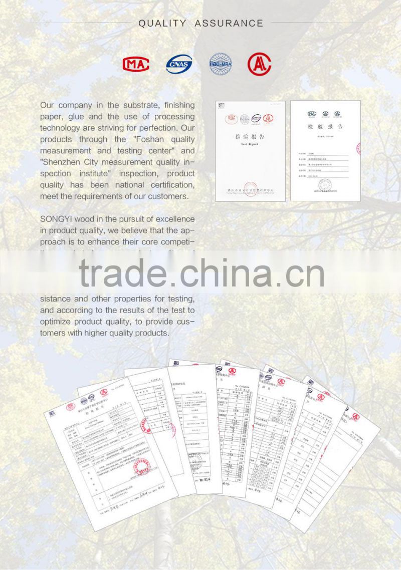 Songyi finished product door