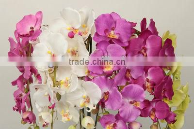 27538 series of hand-painted Multi-colored Beautiful Indoor Plant Orchids