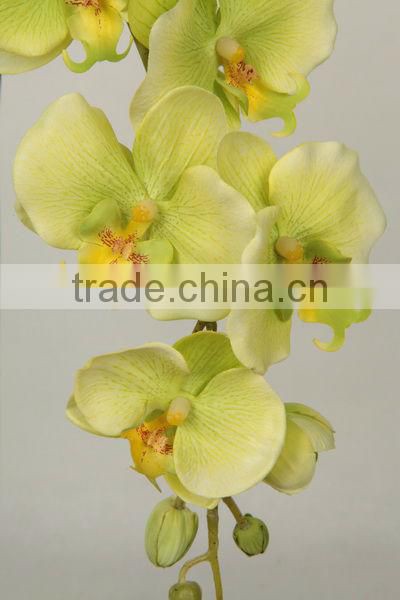 27538 series of hand-painted Multi-colored Beautiful Indoor Plant Orchids