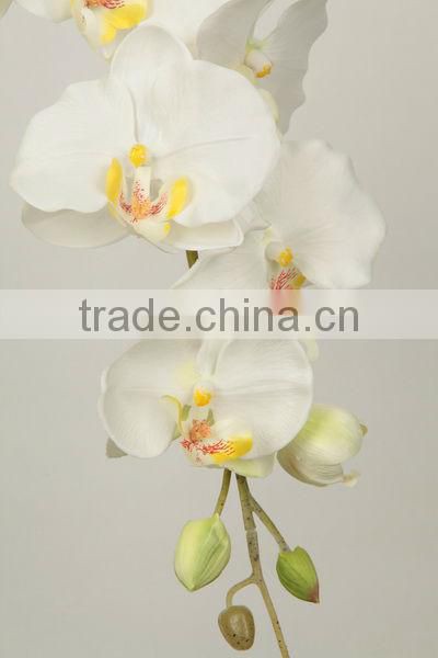 27538 series of hand-painted Multi-colored Beautiful Indoor Plant Orchids
