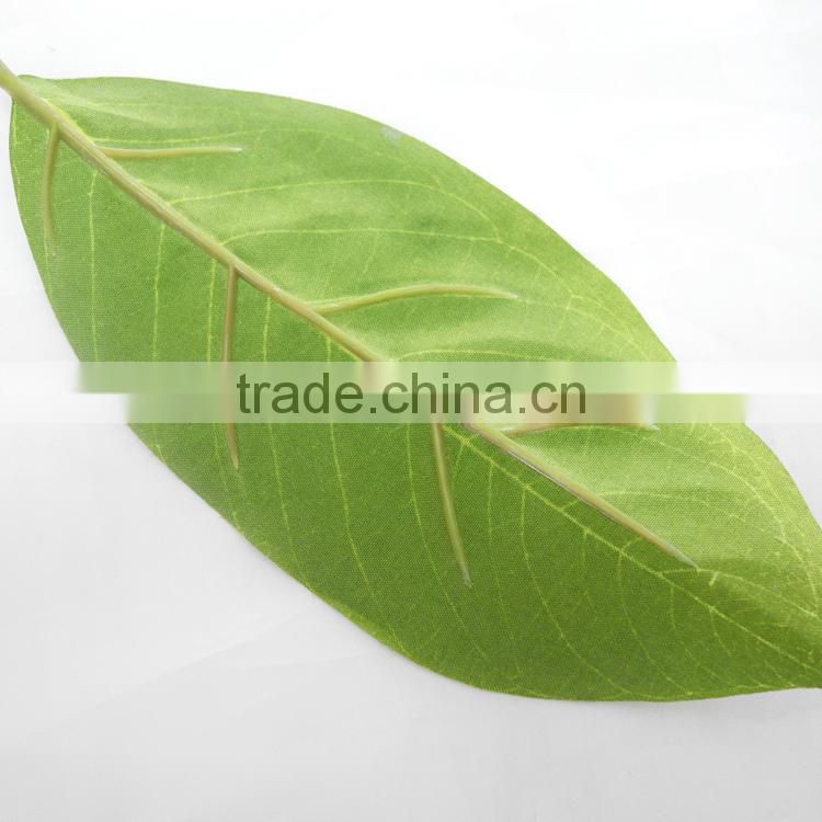 indoor christmas flower Foliage plant