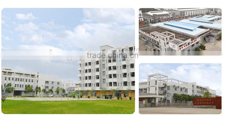 indoor christmas flower Foliage plant