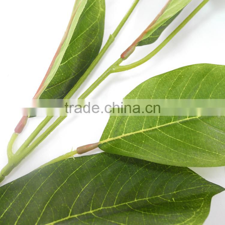 indoor christmas flower Foliage plant